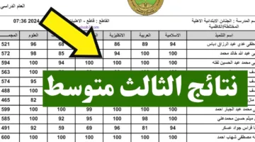 PDF.. نتائج الثالث المتوسط الدور الاول 2025 عبر موقع نتائجنا 