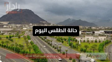 طقس السعودية اليوم 7 يونيو 2025 .. أمطار رعدية وعواصف ترابية تضرب عدة مناطق وتحذيرات من تدني الرؤية