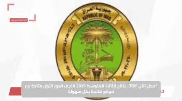 “حمل الآن PDF”.. نتائج الثالث المتوسط 2025 النجف الدور الأول متاحة عبر موقع نتائجنا بكل سهولة
