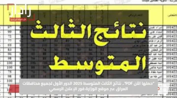 “حملها الآن PDF”.. نتائج الثالث المتوسط 2025 الدور الأول لجميع محافظات العراق عبر موقع الوزارة فور الإعلان الرسمي