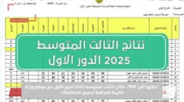 “حمّلها الآن PDF”.. نتائج الثالث المتوسط 2025 الدور الأول عبر موقع وزارة التربية العراقية لجميع المحافظات