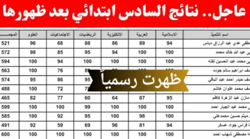 كشف الستار.. نتائج صف سادس ابتدائي الدور الاول 2025 عبر موقع نتائجنا 