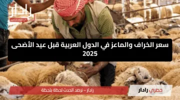 تعرف عليها الآن.. أسعار اللحوم والخراف والماعز في عيد الأضحى 2025 في الدول العربية