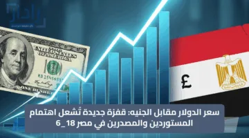 سعر الدولار مقابل الجنيه: قفزة جديدة تُشعل اهتمام المستوردين والمصدرين في مصر 18_6
