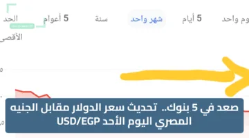 صعد في 5 بنوك..  تحديث سعر الدولار مقابل الجنيه المصري اليوم الأحد USD/EGP