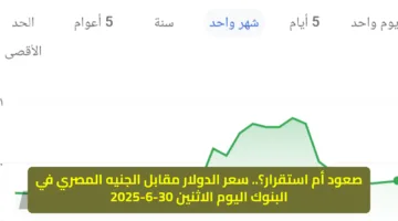 صعود أم استقرار؟.. سعر الدولار مقابل الجنيه المصري في البنوك اليوم الاثنين 30-6-2025