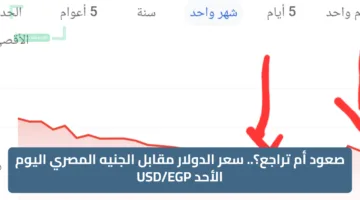 صعود في البنوك؟.. سعر الدولار مقابل الجنيه المصري اليوم الأحد USD/EGP