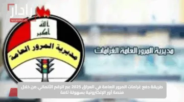 طريقة دفع غرامات المرور العامة في العراق 2025 عبر الرقم الألماني من خلال منصة أور الإلكترونية بسهولة تامة