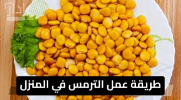 فرحي عيالك في العيد.. طريقة عمل الترمس في المنزل بأبسط الخطوات لنتائج مذهلة