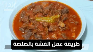 تتميز بالنكهة الشهية.. طريقة عمل الفشة بالصلصة لتجربة طهي مثالية وبسيطة