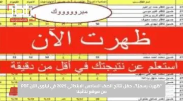 “ظهرت رسميًا”.. حمّل نتائج الصف السادس الابتدائي 2025 في نينوى الآن PDF من موقع نتائجنا