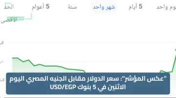 “عكس المؤشر”: سعر الدولار مقابل الجنيه المصري اليوم الاثنين في 5 بنوك USD/EGP