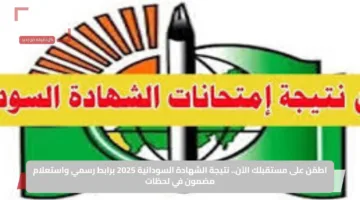 اطمّن على مستقبلك الآن.. نتيجة الشهادة السودانية 2025 برابط رسمي واستعلام مضمون في لحظات