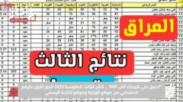 “احصل على نتيجتك الآن PDF”… نتائج الثالث المتوسط 2025 الدور الأول بالرقم الامتحاني من موقع الوزارة وموقع نتائجنا الرسمي