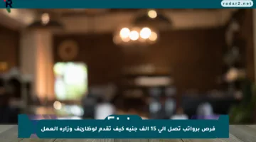 فرص برواتب تصل إلى 15 ألف جنيه كيف تقدم لوظائف وزارة العمل