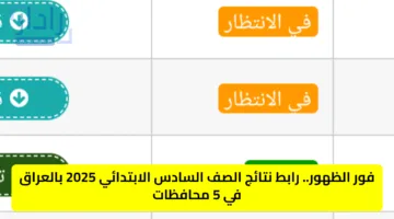 فور الظهور.. رابط نتائج الصف السادس الابتدائي 2025 بالعراق في 5 محافظات