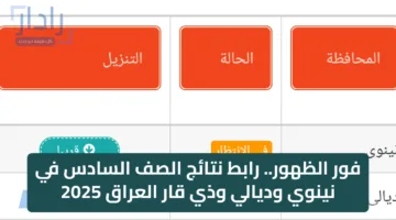 فور الظهور.. رابط نتائج الصف السادس في نينوي وديالي وذي قار العراق 2025