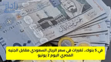 في 5 بنوك.. تغيرات في سعر الريال السعودي مقابل الجنيه المصري اليوم 2 يونيو