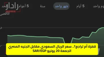 قفزة أم تراجع؟.. سعر الريال السعودي مقابل الجنيه المصري الجمعة 20 يونيو SAR/EGP