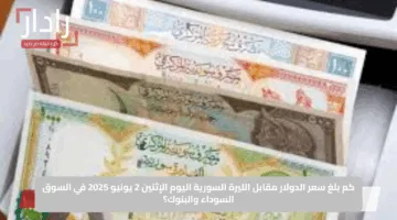 كم بلغ سعر الدولار مقابل الليرة السورية اليوم الإثنين 2 يونيو 2025 في السوق السوداء والبنوك؟
