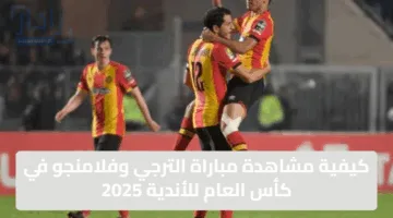 كيفية مشاهدة مباراة الترجي وفلامنجو في كأس العام للأندية 2025 .. القنوات الناقلة والتوقيت الرسمي للمباراة