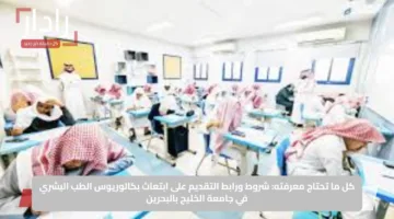 كل ما تحتاج معرفته: شروط ورابط التقديم على ابتعاث بكالوريوس الطب البشري في جامعة الخليج بالبحرين