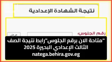 “متاحة الان برقم الجلوس”رابط نتيجة الصف الثالث الإعدادي البحيرة 2025 natega.behira.gov.eg