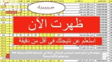 متوفر الآن.. نتائج الصف السادس الابتدائي 2025 في الرصافة الثالثة بصيغة PDF عبر موقع نتائجنا رسميًا