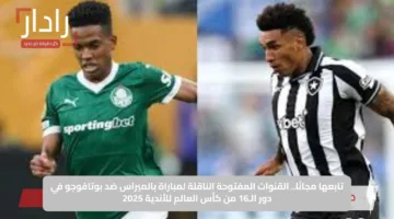 تابعها مجانًا.. القنوات المفتوحة الناقلة لمباراة بالميراس ضد بوتافوجو في دور الـ16 من كأس العالم للأندية 2025