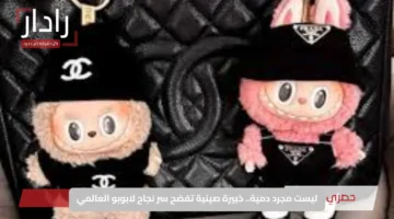 ليست مجرد دمية.. خبيرة صينية تفضح سر نجاح لابوبو العالمي