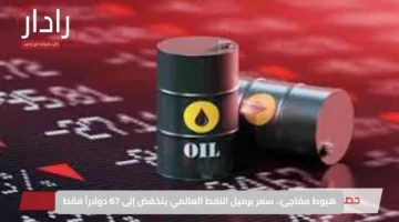 هبوط مفاجئ.. سعر برميل النفط العالمي ينخفض إلى 67 دولاراً فقط