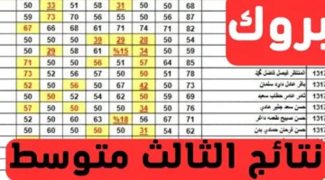 سريـــع طلقة بنقرة واحدة”.. نتائج الثالث المتوسط 2025 نينوى والبصرة-السليمانية الدور الأول تحميل PDF عبر موقع نتائجنا