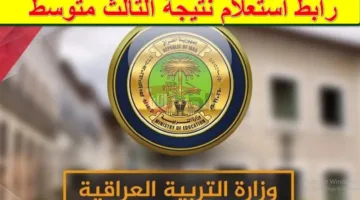 رابط شغال ومباشر نتائج الثالث المتوسط 2025 في العراق مباشر موقع وزارة التربية العراقية