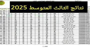 تحميل pdf استخراج نتائج الصف الثالث متوسط 2025 الدور الأول في العراق .. نتائجنا بصيغة pdf عموم المحافظات