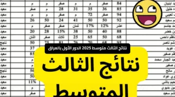 رابط رسمي مباشر .. نتائج الثالث متوسط 2025 الدور الأول بالعراق عبر موقع نتائجنا إلكترونياً