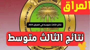 رابط رسمي.. نتائج الثالث متوسط 2025 الدور الأول العراق قريبًا والإجراءات المتبعة