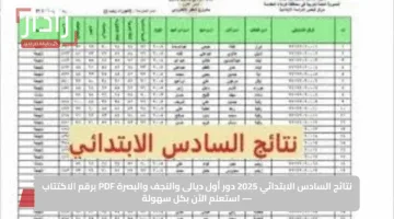 نتائج السادس الابتدائي 2025 دور أول ديالى والنجف والبصرة PDF برقم الاكتتاب — استعلم الآن بكل سهولة