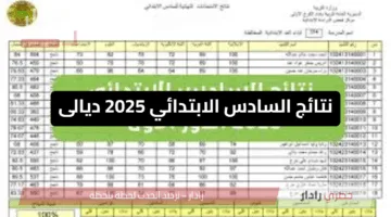 عاجل | نتائج السادس الابتدائي 2025 ديالى ظهرت الآن رسميًا على موقع نتائجنا pdf