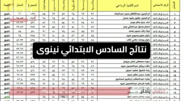 نينوى على موعد مع إعلان نتائج السادس الابتدائي.. التفاصيل الكاملة هنا