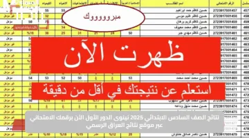 نتائج الصف السادس الابتدائي 2025 نينوى الدور الأول الآن برقمك الامتحاني عبر موقع نتائج العراق الرسمي