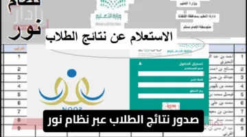 صدور نتائج الطلاب عبر نظام نور.. تابع أداء أبنائك واحتفل بتميزهم