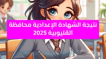 ظهور نتيجة الشهادة الإعدادية محافظة القليوبية 2025 وسوهاج والجيزة وجميع المحافظات روابط مباشرة.. خلال ساعات