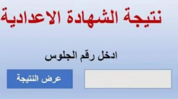 “برقم الجلوس” طالع نتيجة الشهادة الاعدادية 2025 الترم الثاني محافظة القاهرة فور اعتمادها