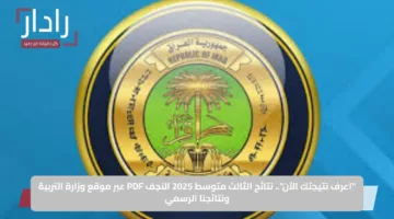 “اعرف نتيجتك الآن”.. نتائج الثالث متوسط 2025 النجف PDF عبر موقع وزارة التربية ونتائجنا الرسمي