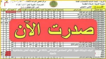 اعرف نتيجتك فوراً.. نتائج السادس الابتدائي 2025 في كركوك تُعلن بشفافية كاملة