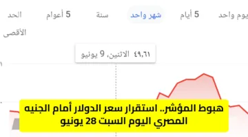 هبوط المؤشر..تحديث سعر الدولار أمام الجنيه المصري اليوم السبت 28 يونيو