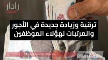 “علاوة إضافية وترقيه”… الحكومة تصدر قرار بزيادة أجور ومرتبات هؤلاء الموظفين بنسبة 5%