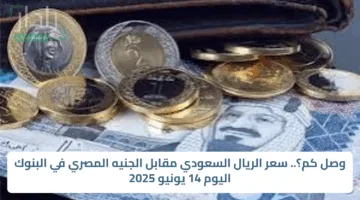 وصل كم؟.. سعر الريال السعودي مقابل الجنيه المصري في البنوك اليوم 14 يونيو 2025