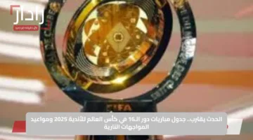 الحدث يقترب.. جدول مباريات دور الـ16 في كأس العالم للأندية 2025 ومواعيد المواجهات النارية