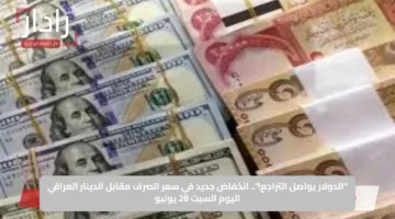“الدولار يواصل التراجع!”.. انخفاض جديد في سعر الصرف مقابل الدينار العراقي اليوم السبت 28 يونيو
